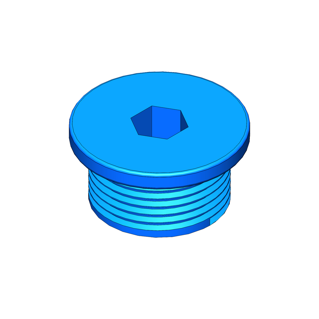 N51 - ENGINE OIL DRAIN PLUG