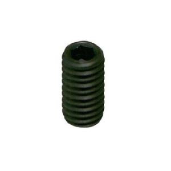 OB320P - GRANO CONICO 5X6