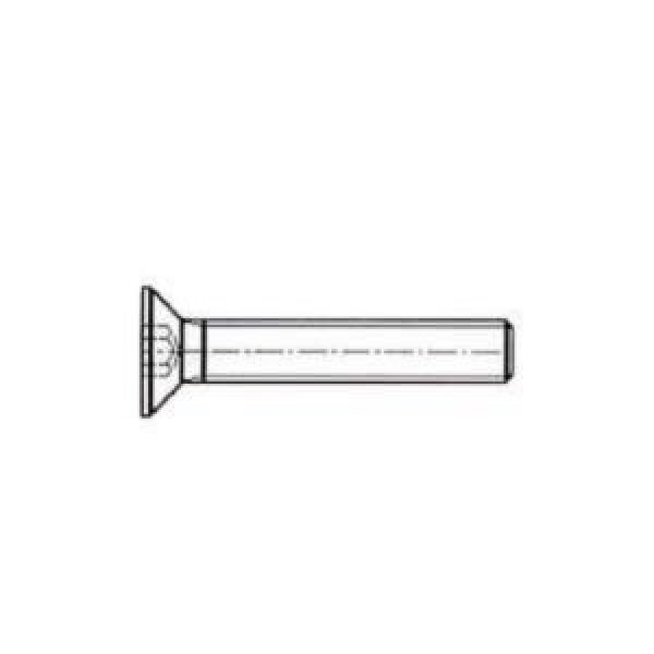 OB193 - SCREW TSEI M8X40Z.P.