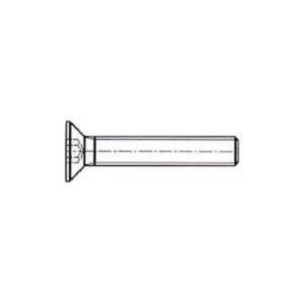 OB211 - VIS TSEI M6X25 ZINGUÉE BLANCHE