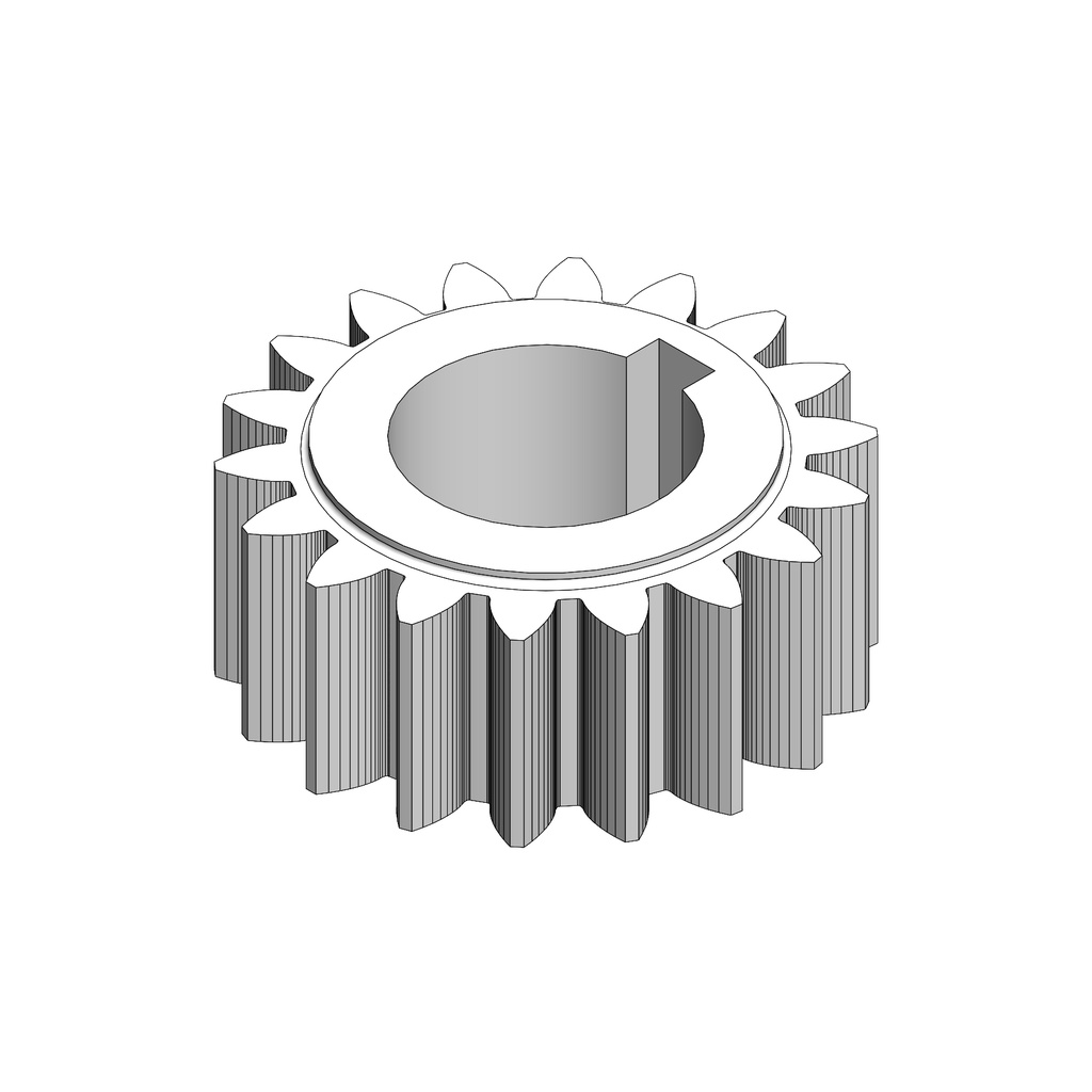 C81 - PRIMARY GEAR Z19 WITH KEY
