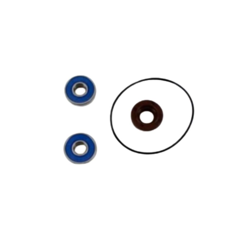 N508 - KIT REVISIONE POMPA ACQUA / PUMP OVERHAUL KIT