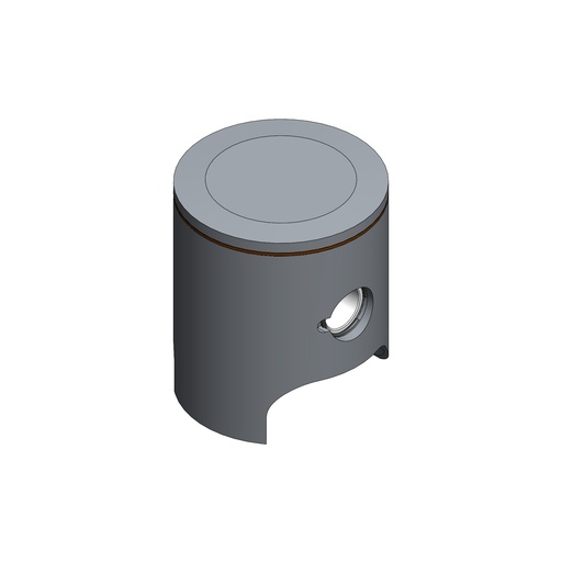 N27BIS.D - PISTONE COMPLETO COMP. 29 - PIATTO CON BANDA  SEGM 0,8 LIGHT  